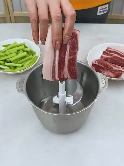 Molino picando carne – video real