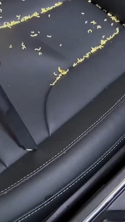 Límpialo mientras esperas en el parqueadero